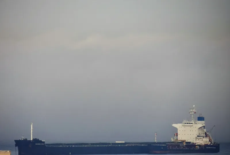 MARIELENA Bulk Carrier IMO 9376359