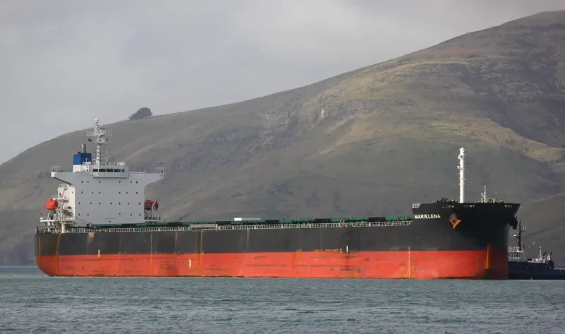 MARIELENA Bulk Carrier IMO 9376359 photo 2