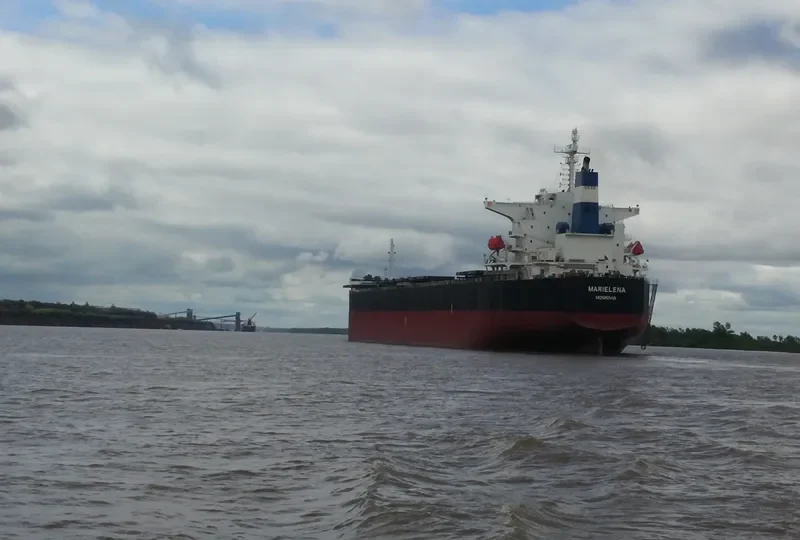 MARIELENA Bulk Carrier IMO 9376359 photo 3