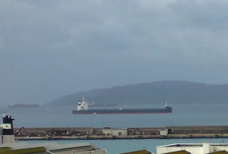 MARIELENA Bulk Carrier IMO 9376359 photo 5