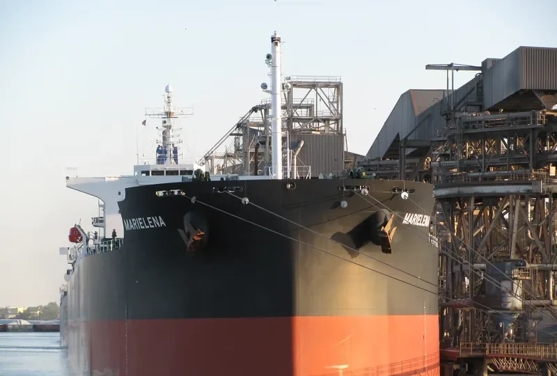 MARIELENA Bulk Carrier IMO 9376359 photo 6