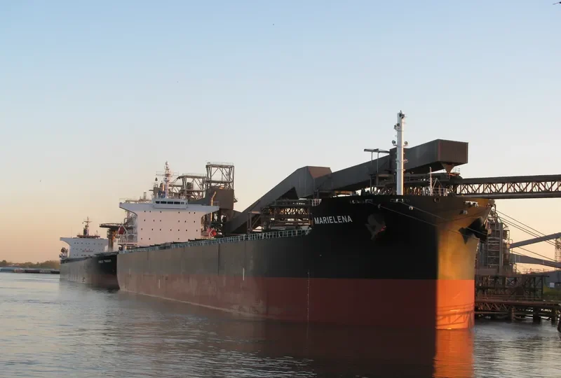 MARIELENA Bulk Carrier IMO 9376359 photo 7