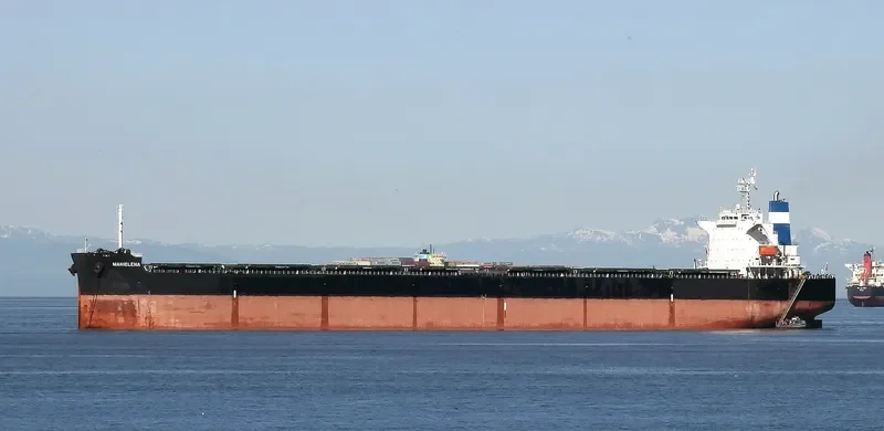 MARIELENA Bulk Carrier IMO 9376359 photo 9