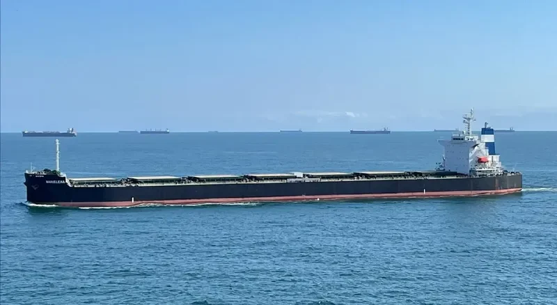 MARIELENA Bulk Carrier IMO 9376359 photo 10
