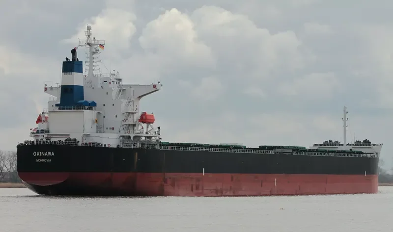 OKINAWA Bulk Carrier IMO 9376361 photo 3