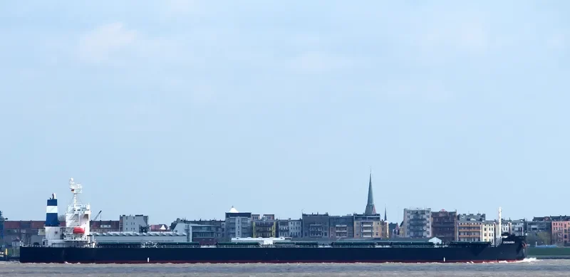 OKINAWA Bulk Carrier IMO 9376361 photo 4
