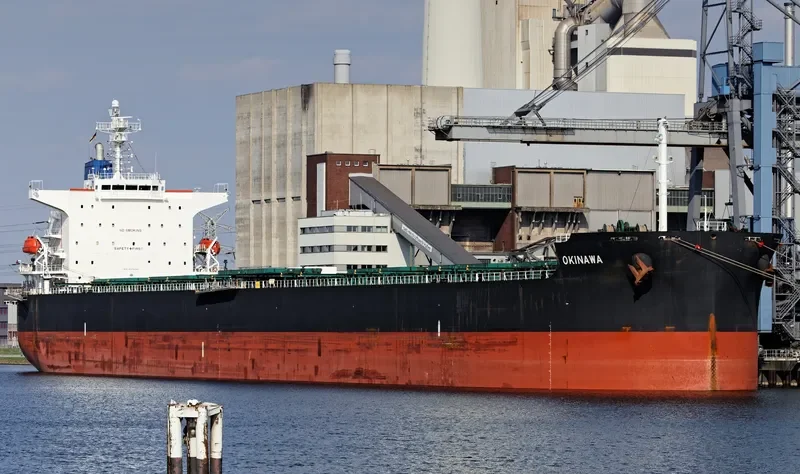 OKINAWA Bulk Carrier IMO 9376361 photo 5