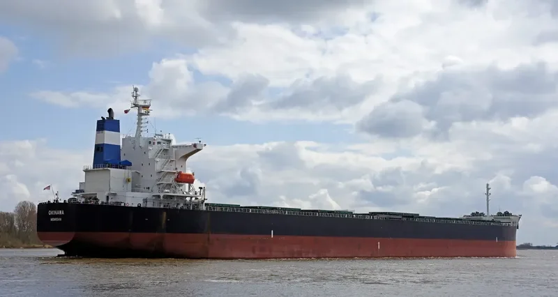 OKINAWA Bulk Carrier IMO 9376361 photo 9