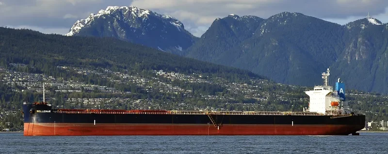 BELLEMAR Bulk Carrier IMO 9376385