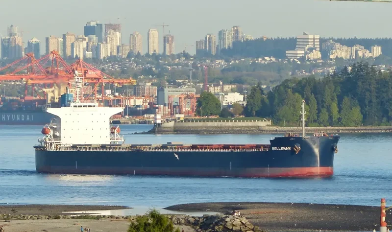 BELLEMAR Bulk Carrier IMO 9376385 photo 2