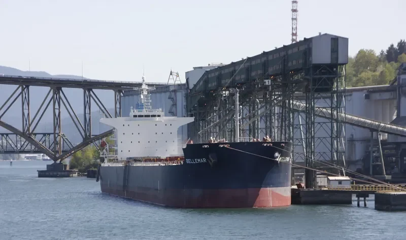 BELLEMAR Bulk Carrier IMO 9376385 photo 3