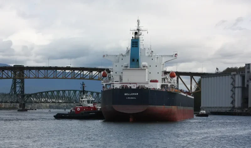 BELLEMAR Bulk Carrier IMO 9376385 photo 4
