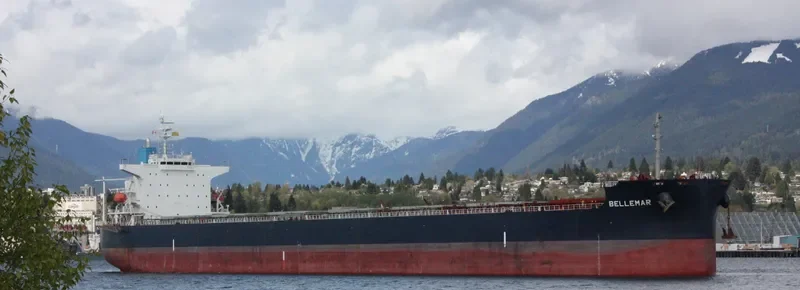 BELLEMAR Bulk Carrier IMO 9376385 photo 5