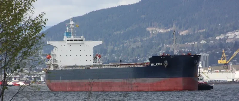 BELLEMAR Bulk Carrier IMO 9376385 photo 6