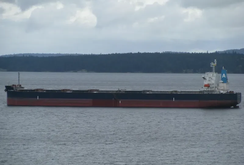 BELLEMAR Bulk Carrier IMO 9376385 photo 7