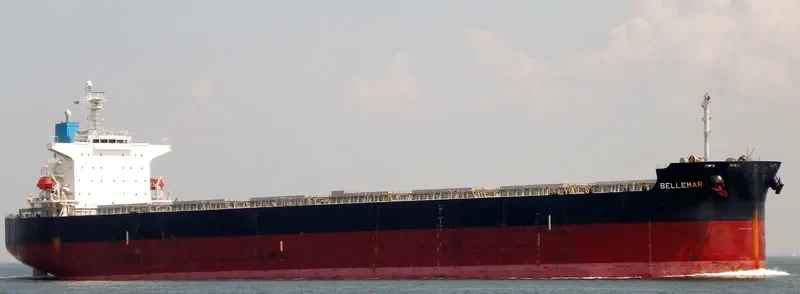 BELLEMAR Bulk Carrier IMO 9376385 photo 10