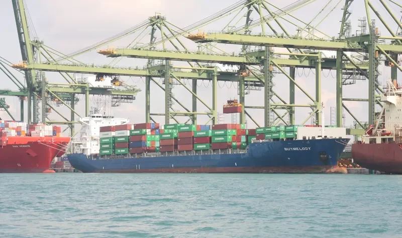 BUXMELODY Container Ship IMO 9377145 photo 4