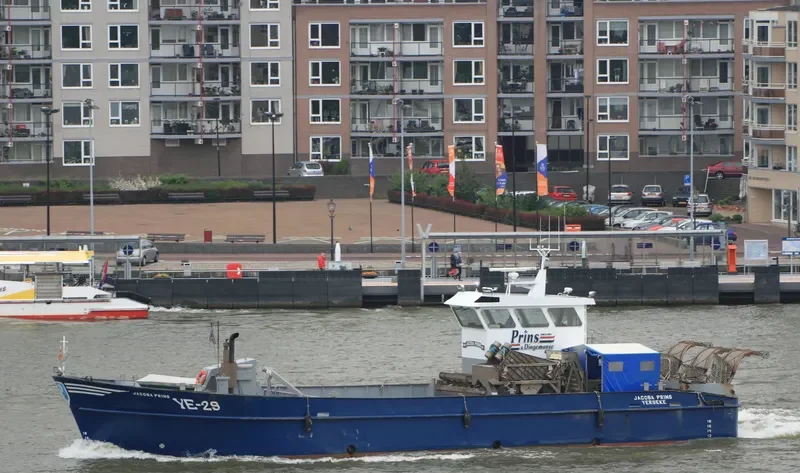 JACOBA PRINS General Cargo IMO 9377157 photo 4