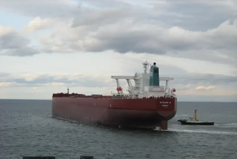 STEVEN N Bulk Carrier IMO 9377406 photo 2