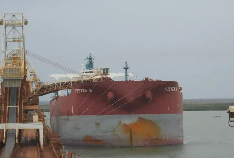 STEVEN N Bulk Carrier IMO 9377406 photo 3