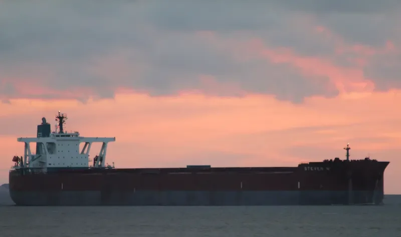 STEVEN N Bulk Carrier IMO 9377406 photo 9