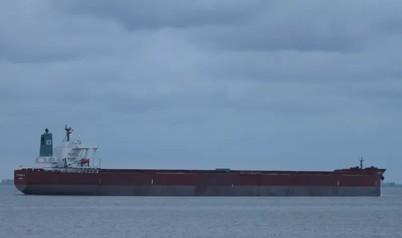 STEVEN N Bulk Carrier IMO 9377406 photo 10