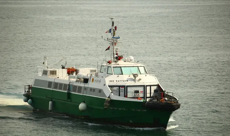 SURFER 323 Passenger Ship IMO 9377468 photo 5