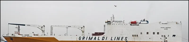 GRANDE CAMEROON Ro-Ro IMO 9377482 photo 6