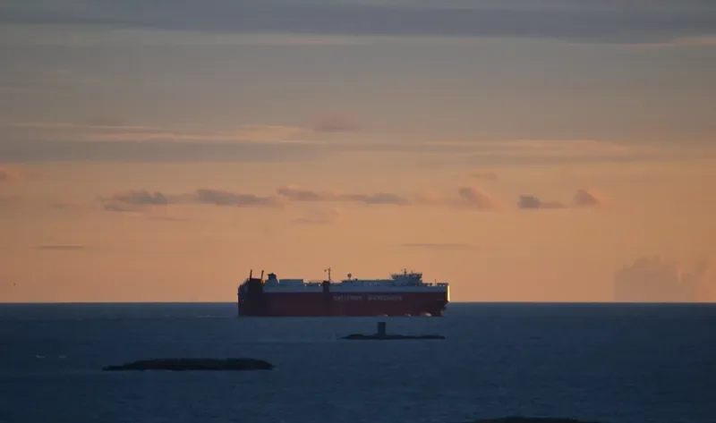 TIRRANNA General Cargo IMO 9377523 photo 2