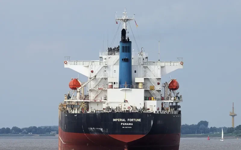 IMPERIAL FORTUNE Bulk Carrier IMO 9377676 photo 2