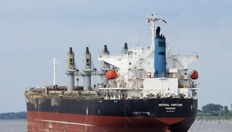 IMPERIAL FORTUNE Bulk Carrier IMO 9377676 photo 3