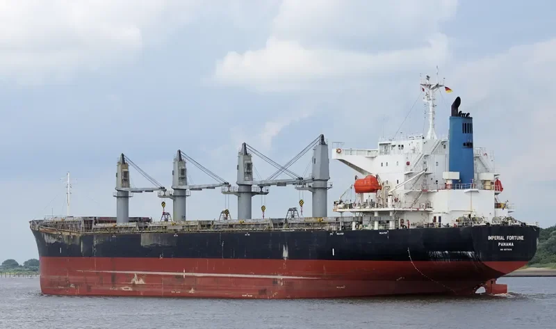 IMPERIAL FORTUNE Bulk Carrier IMO 9377676 photo 4