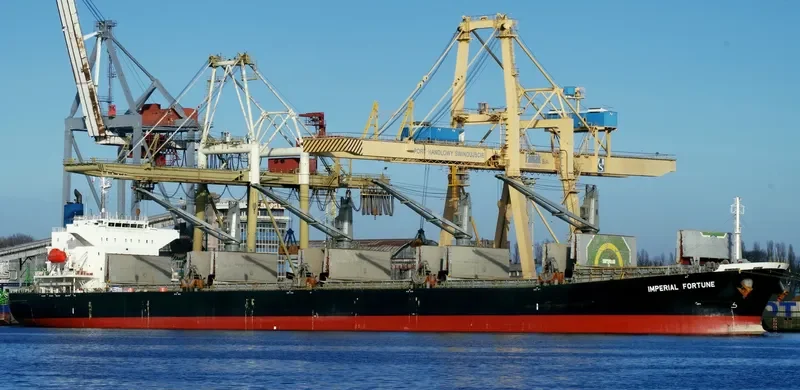 IMPERIAL FORTUNE Bulk Carrier IMO 9377676 photo 7