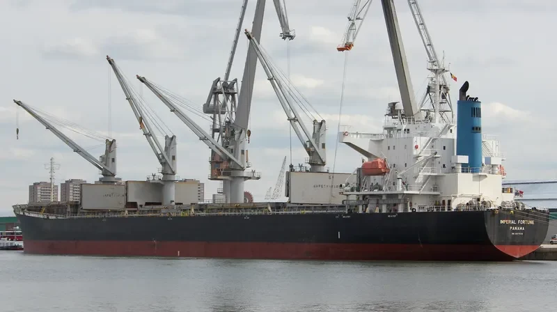 IMPERIAL FORTUNE Bulk Carrier IMO 9377676 photo 10