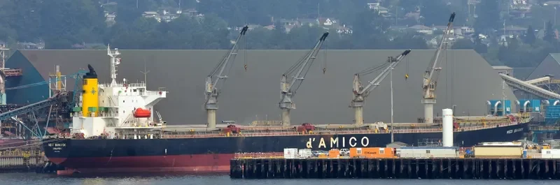MEDI BANGKOK Bulk Carrier IMO 9377688