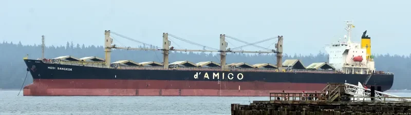 MEDI BANGKOK Bulk Carrier IMO 9377688 photo 3
