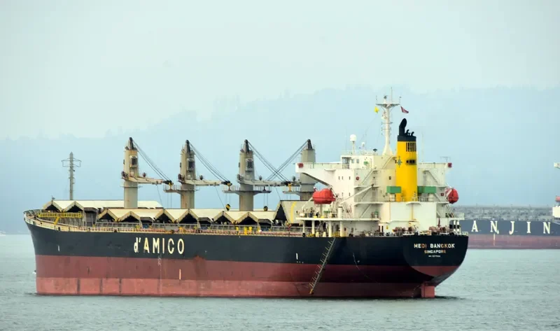 MEDI BANGKOK Bulk Carrier IMO 9377688 photo 4