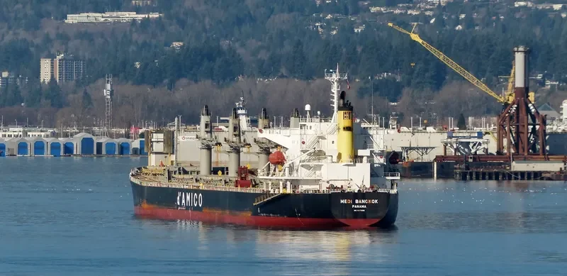 MEDI BANGKOK Bulk Carrier IMO 9377688 photo 7