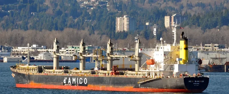 MEDI BANGKOK Bulk Carrier IMO 9377688 photo 8