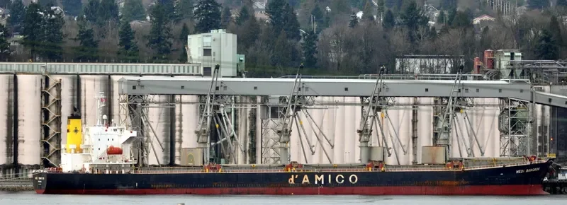 MEDI BANGKOK Bulk Carrier IMO 9377688 photo 9