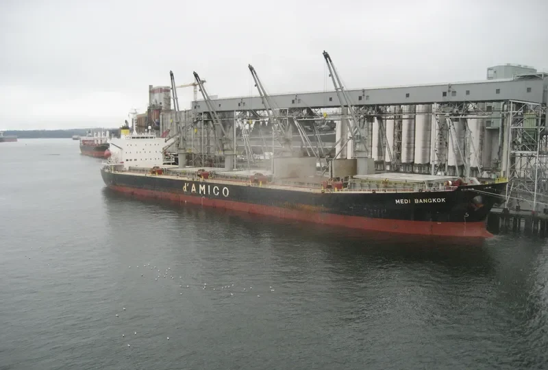 MEDI BANGKOK Bulk Carrier IMO 9377688 photo 10
