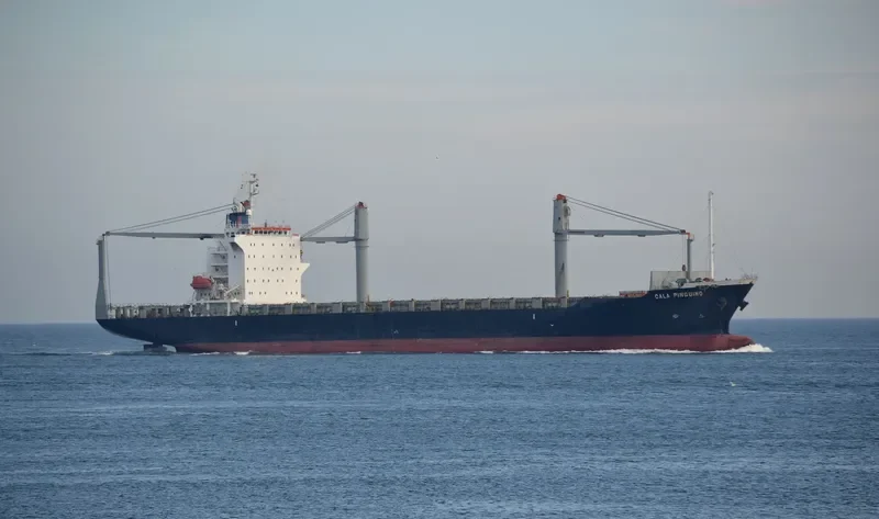 CALA PINGUINO Container Ship IMO 9377705 photo 6