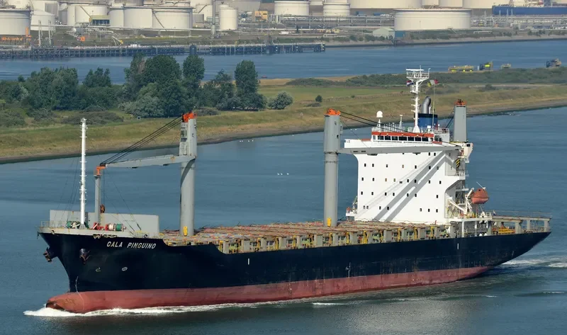 CALA PINGUINO Container Ship IMO 9377705 photo 9