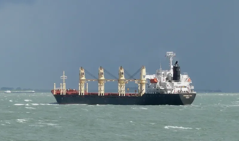 SHIMANAMI STAR Bulk Carrier IMO 9377717 photo 6