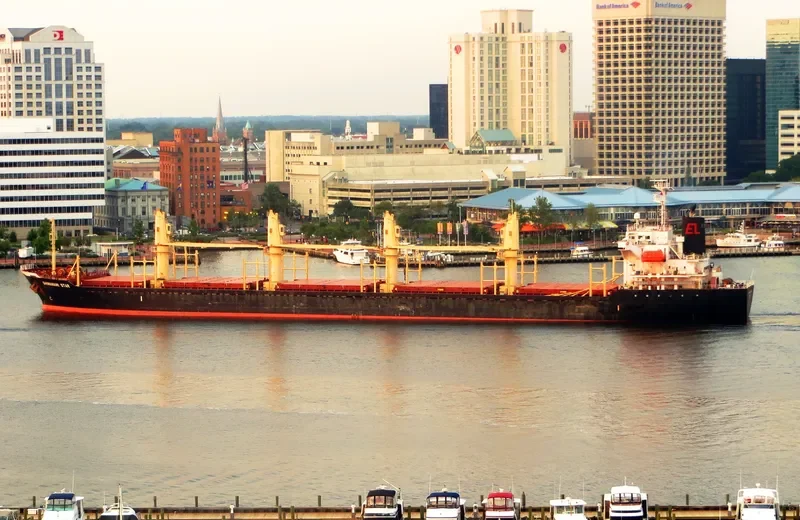 SHIMANAMI STAR Bulk Carrier IMO 9377717 photo 7