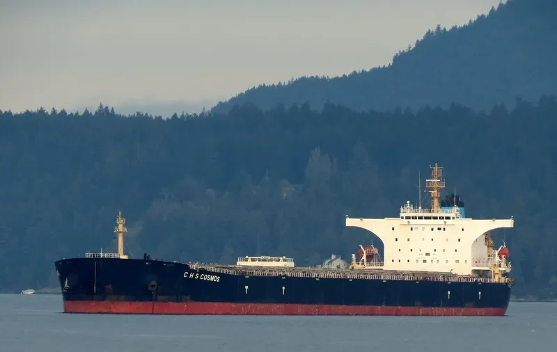 C H S COSMOS Bulk Carrier IMO 9377937 photo 2