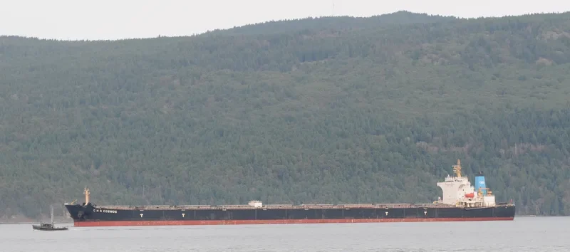 C H S COSMOS Bulk Carrier IMO 9377937 photo 3