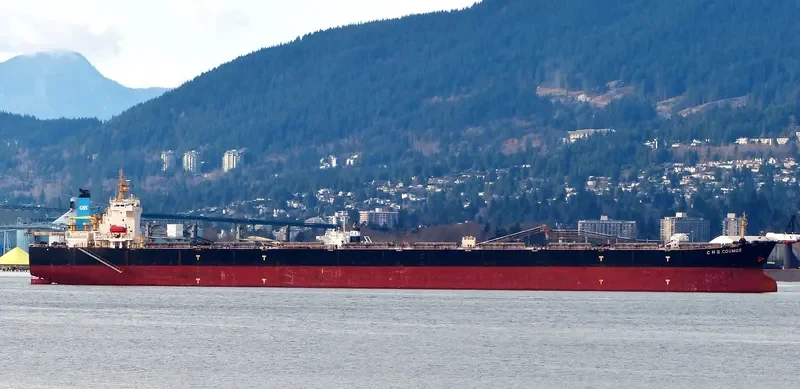 C H S COSMOS Bulk Carrier IMO 9377937 photo 6