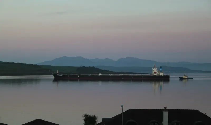 C H S COSMOS Bulk Carrier IMO 9377937 photo 8