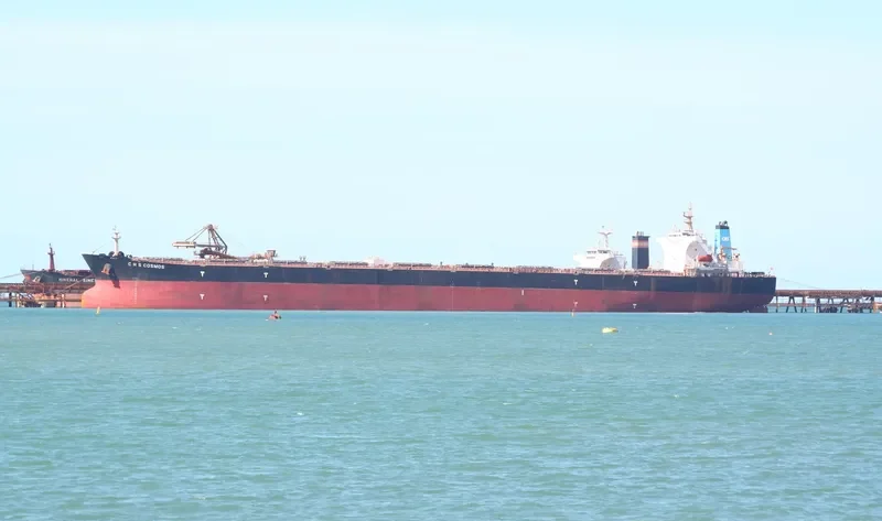 C H S COSMOS Bulk Carrier IMO 9377937 photo 10